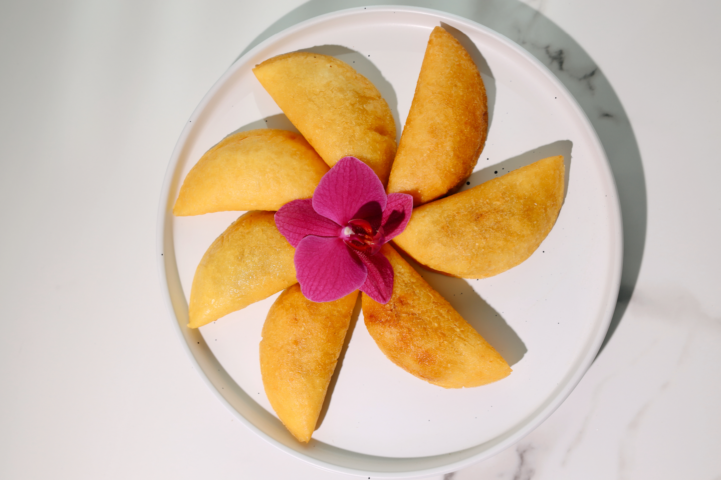 Chicken Empanadas